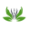 massage-astro-template.pages.dev favicon
